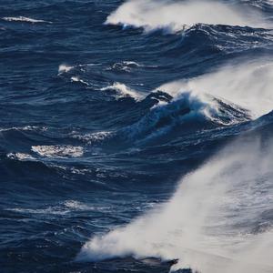 看看欧美肥婆的B
